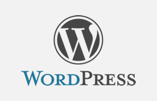 WordPress web design portfolio